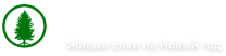 ЁЛКИ.биз