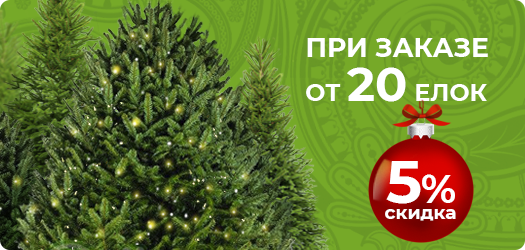 Скидка 5% при заказе 20+ елок!
