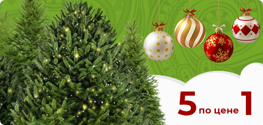 Доставка 5 елок  по цене 1!