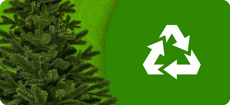 Dismantling and disposal of Xmas trees