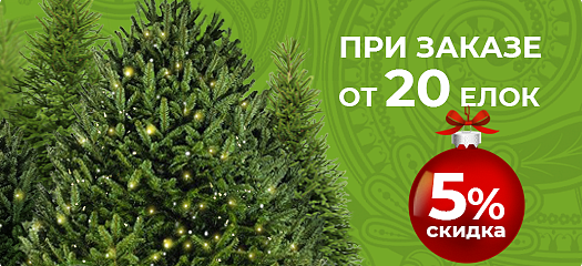Скидка 5% при заказе 20+ елок!