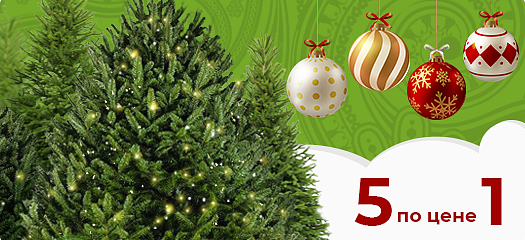 Доставка 5 елок  по цене 1!